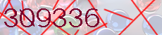 309336